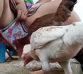 Należy obserwować desi bhabi kurę karmienia