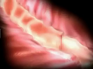 Sofferenza e piacere 3D hentai