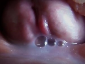 inseminasi semulajadi