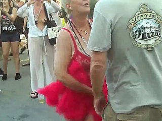 成熟した雌犬