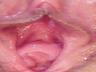 کالج کی سیکسی ٹینڈر بیبی خود کھیلتی ہے۔