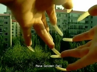 Panjang daripada AGN (pelbagai klip)
