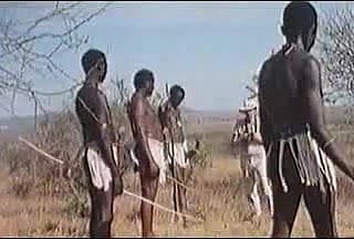 Afrika muazzam penisler! Gerçek safari!