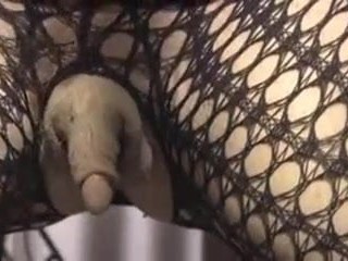enorme clítoris erecto